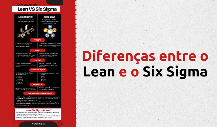 Infográfico Lean e Six Sigma
