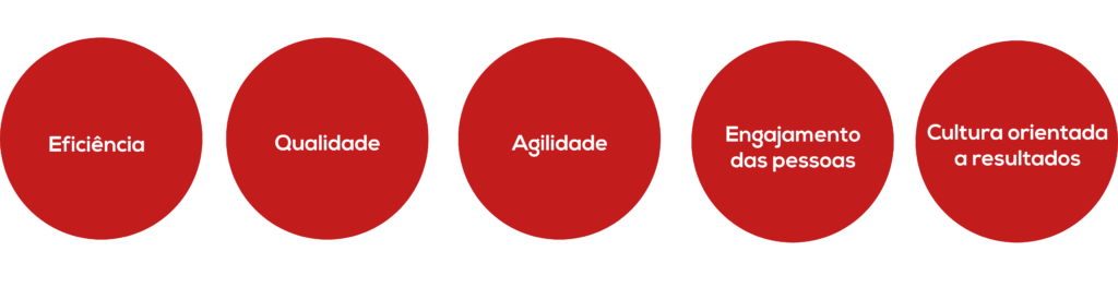o que é excelência operacional 