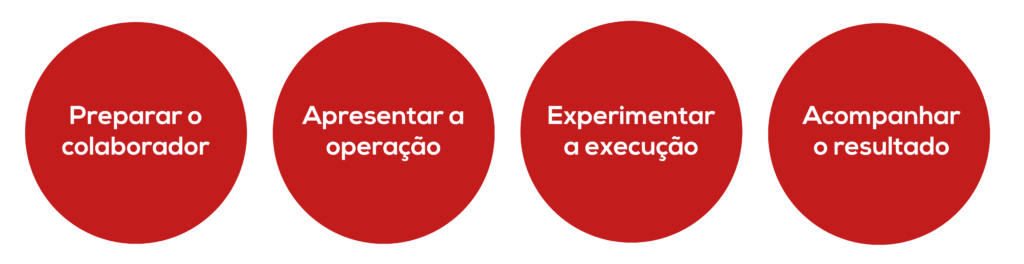 Instrução do Trabalho